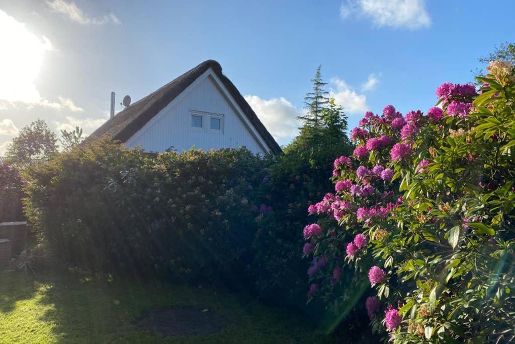 Ferienhaus Butterblume Sudbrookmerland Экстерьер фото